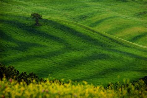 Collina - TERRE DEL CERRANO