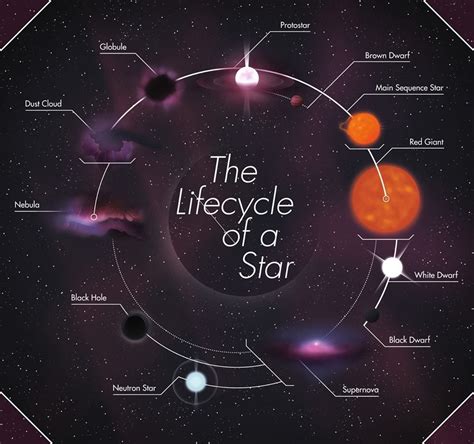 The Life Cycle Of A Star Astronomy