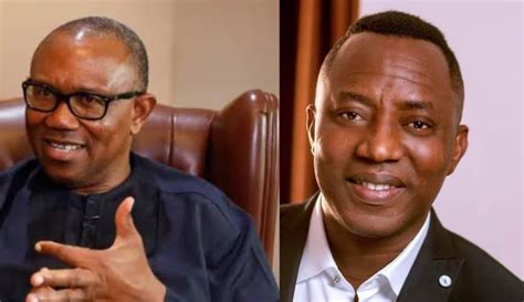 Who Can Hold The Beasts Down Sowore Or Peter Obi By Damilare Adenola