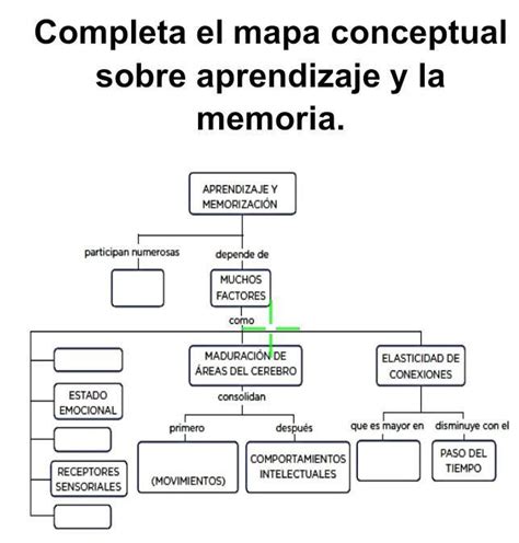 Aprendizaje Y Memoria Mapa Conceptual Ajore