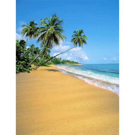 Tr 5x7ft Blue Sky Ocean Summer Sea Sand Beach Palm Trees Shadow Custom