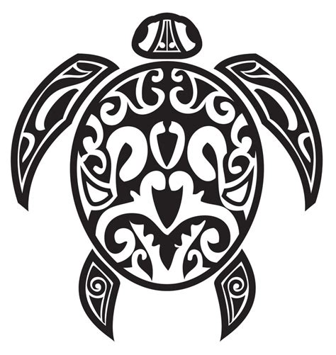 Turtle Native American Symbols American Symbols Animal Symbolism