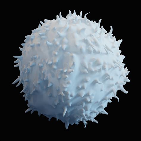 3d Model Lymphocyte Blood Cells Turbosquid 1494158