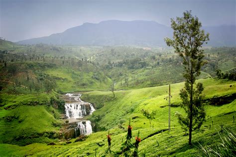 Eight Local Secrets You Must Experience In Sri Lanka International