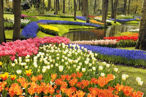 Siente más cerca la primavera, Jardines Botánicos del Mundo - La Guía GO!