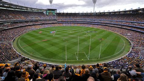 afl ground hot sex picture