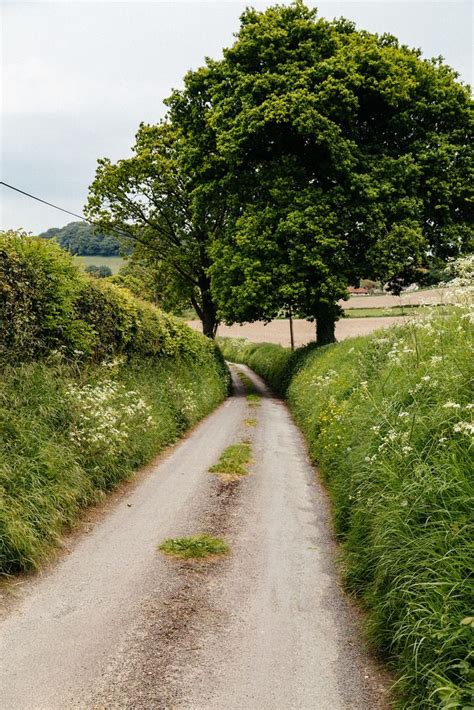Wiltshire England Country Roads Landscape Scenery