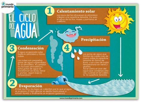 Infografía Sobre El Ciclo Del Agua Para Niños De Primaria 【2018】