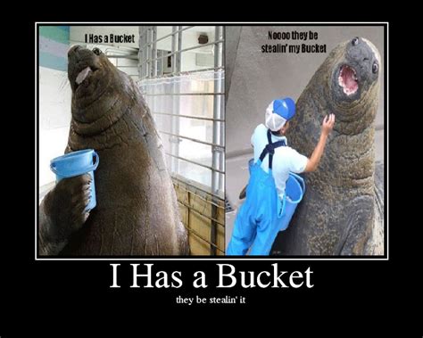 I Has A Bucket Picture Ebaums World