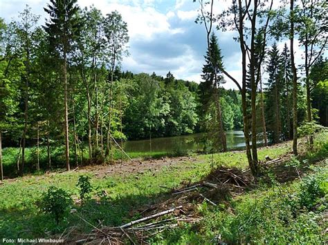 Haus am königsteich segeberger straße 40 in bad oldesloe, telefon 04531 1650 mit ⌚ öffnungszeiten, videos und anfahrtsplan. NSG Wohrateiche bei Haina