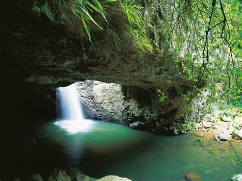 Natural Bridge Circuit Springbrook National Park Journeys Queensland