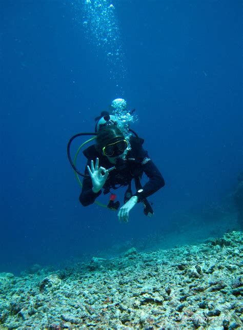 Consultez scubapsyche pour en savoir davantage sur notre comportement de plongeurs. Bunaken, le rêve sous l'eau » La boîte à voyage