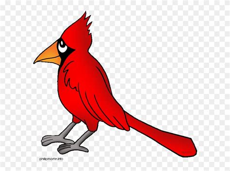 Cardinal Feathers Clipart Cardinal Clip Art Png Download 1234228