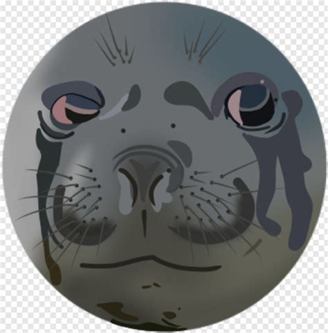 Crying Meme Crying Seal Transparent Png 350x356 3566177 Png