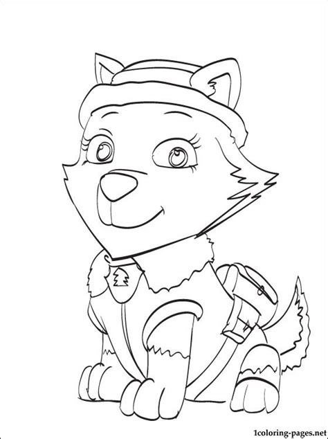 Click on the download icon to save the coloring sheet to your computer or click on the print icon to print it. Everest PAW Patrol coloring page | Coloring pages