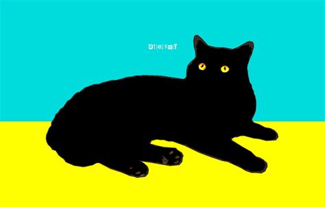 Minimalist Cat Wallpapers Top Free Minimalist Cat Backgrounds