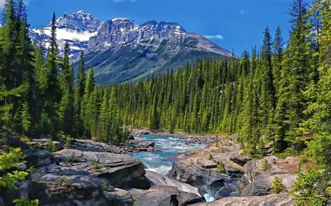 National Park Banff Alberta Canada River Bow Lak Valley Rocky Mountains