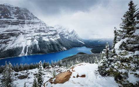 Download Wallpapers Canada Peyto Lake Winter Forest Mountains
