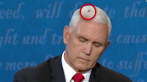 A Fly Starred In The Viral Moment Of The Debate Between Mike Pence And