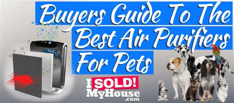 Take a look at our reviews of the best air purifiers for pets. Best Air Purifiers for Pets (Remove Pet Odor, Hair & Dander)