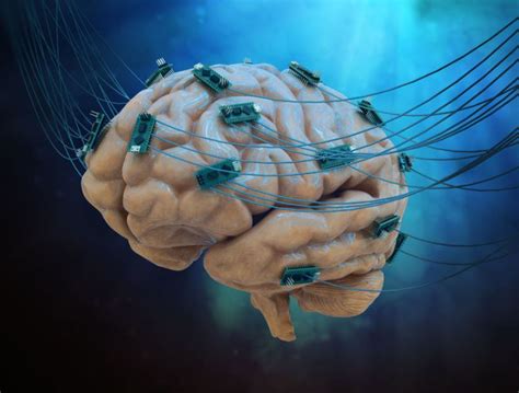Neuralink Will Start Testing Brain Chips On Humans In Six Months Same