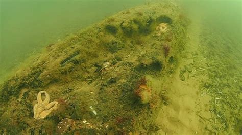 Ancient Underwater Forest Discovered Off Norfolk Coast Bbc Newsround