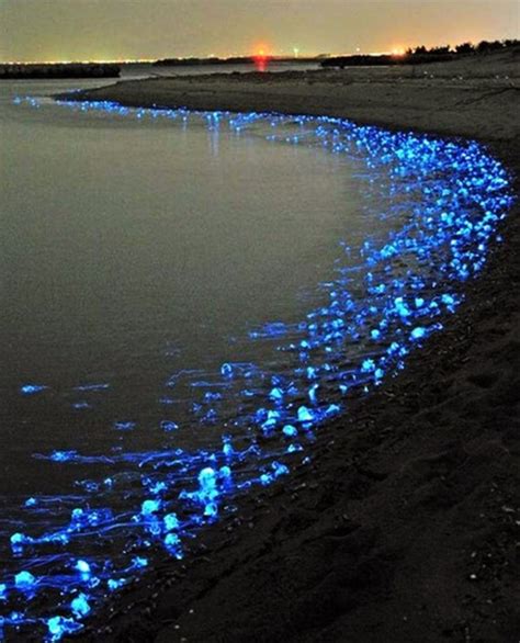 Magnificent And Breathtaking Blue Waves That Glow At Night