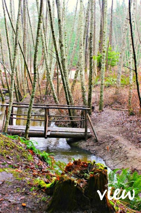 Hidden Gems Of Vancouver Island Vancouver Island View Cool Places To