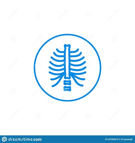 Chest X Ray Icon Vector Stock Vector Illustration Of Skeleton 227095015