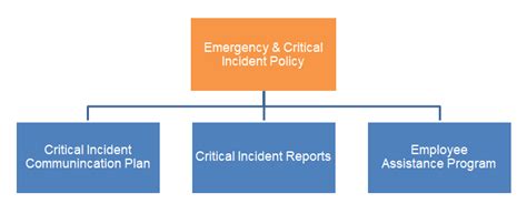 Nzh Critical Incident Policy