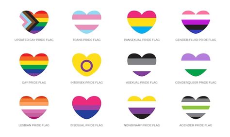 premium vector lgbtq sexual identity pride flags collection