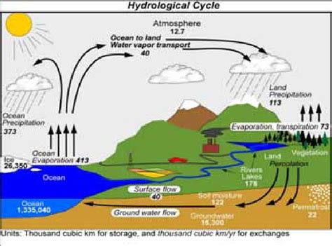 The Global Hydrological Cycle Estimates Of The Main Water Reservoirs