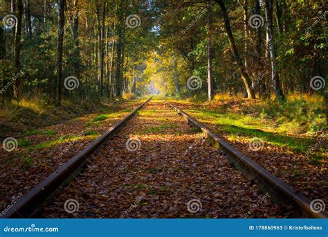Empty Railroad Track Through The Forest In Autumn Fall On A Sunny Day