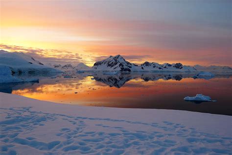 Visit Antarctica Where To Go And What Youll See Antarctica Travel