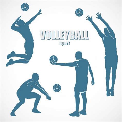 Biblioteca De Vetores Voleibol Ilustrações Voleibol Livres De