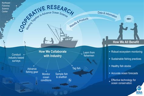 Northeast Fisheries Cooperative Research Noaa Fisheries