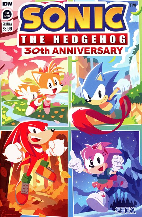 Sonic The Hedgehog 30th Anniversary Special Cover A Regular Sonic Team