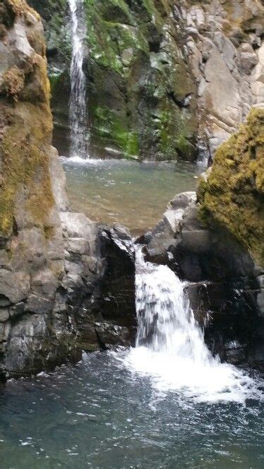 Susan Creek Falls Near Roseburg Oregon Oregon Hikes Hiking Trip