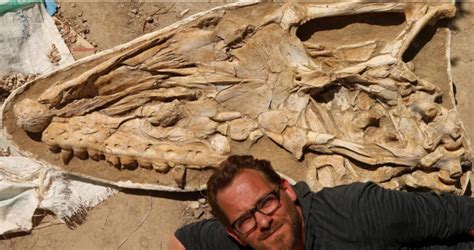 Los Monstruos Marinos Eran Reales Hace Millones De Años Nuevos Fósiles