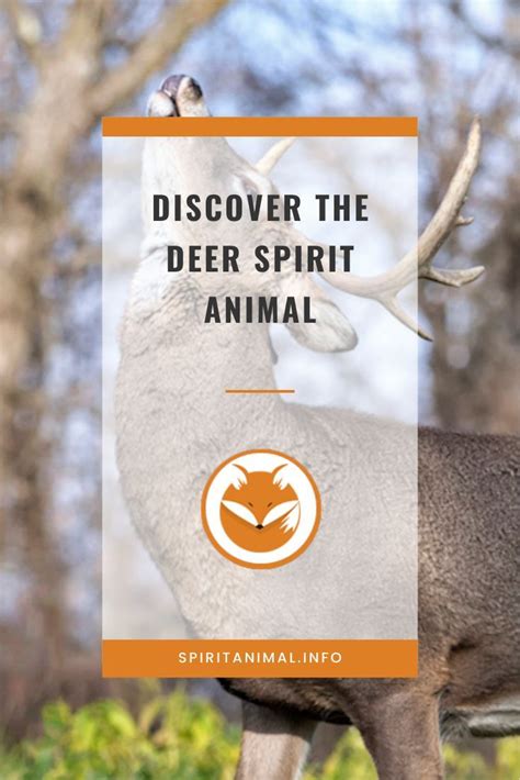 Deer Spirit Animal Deer Totem Meaning In 2021 Deer Spirit Animal