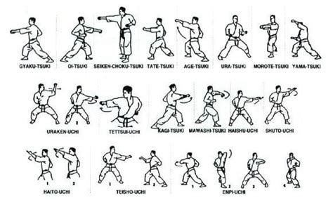 Les Techniques Du Karaté Karaté Shotokan Karaté Karaté Kata