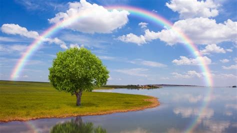 Nature Beautiful Rainbow Wallpaper Hd Download Free Mock Up