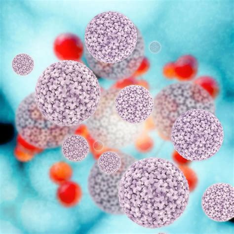 HPV ヒトパピローマウイルス 種類 みんパピみんなで知ろうHPVプロジェクト