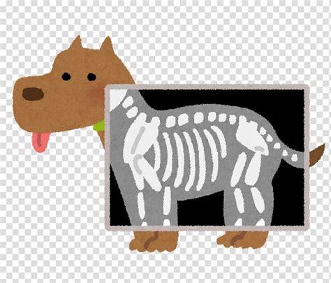 Xray Clipart Pet Xray Pet Transparent Free For Download On