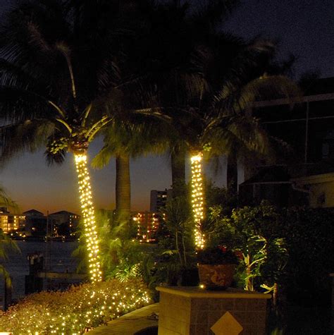 10 Things You Should Know About Palm Tree Outdoor Lights Warisan Lighting