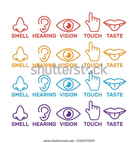 Five Senses Icon Sight Smell Hearing Stock Vector Royalty Free
