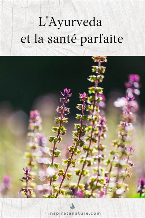 Layurveda Et La Santé Parfaite Ayurveda Santé Parfait