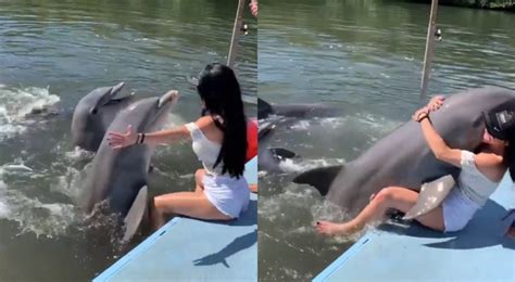 Stunning Travel Vlogger Has Very Embarrassing Encounter With Dolphin In