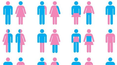 Sex And Gender Are Different Us Govt Introduces Gender Affirmative Care Policy India Today