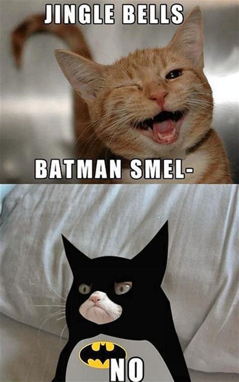 Grumpy Batman Cat Grumpy Cat Know Your Meme